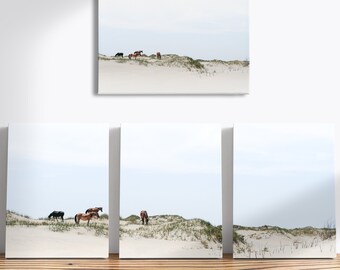 Canvas Wild Horses Beach Outer Banks Corolla Beach Waves Photography Fine Art Print Domenica Rossi 1 or 3 piece triptych