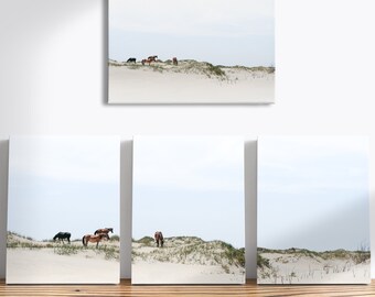 Canvasprint Wild Horses of Corolla Beach: fotografie Outer Banks, optie drieluik
