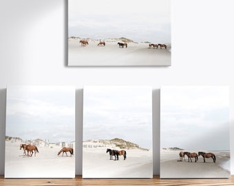 Wild Horses Coastal Outer Banks Corolla Beach Canvas Print – Painting Decor – Horse Lovers Gift – Coastal Wall Decor