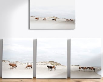 Canvasprint Wilde paarden van Corolla Beach: muurkunst kust