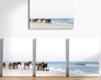 Wilde paarden kustcanvas: fotografie Outer Banks Beach door Domenica Rossi
