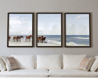 Wild Mustang Horses Outer Banks Coastal Corolla Beach poster of ingelijste fotografie mixed mediakunst Domenica Rossi 1- of 3-delig drieluik, c