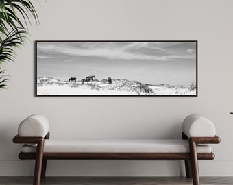 Panoramische canvasprint wilde paarden: zwart-witfotografie Outer Banks