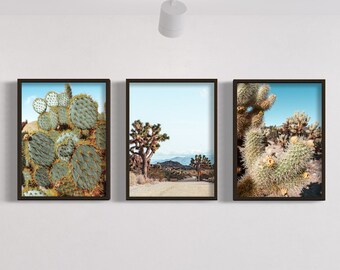 Joshua Tree Desert Cactus Ingelijste Art Print Fotografie door Domenica Rossi Set van 3