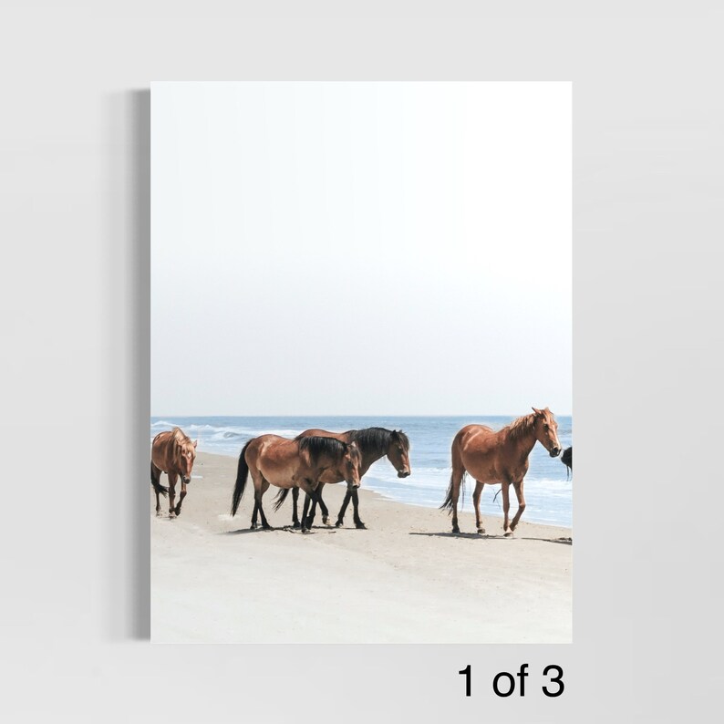 May include: A framed print featuring a photograph of several horses walking along a sandy beach. The horses are various shades of brown and black, with the ocean visible in the background under a bright sky.