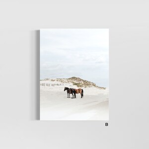 May include: Two brown horses standing side by side on a white sandy beach with a grassy dune in the background.