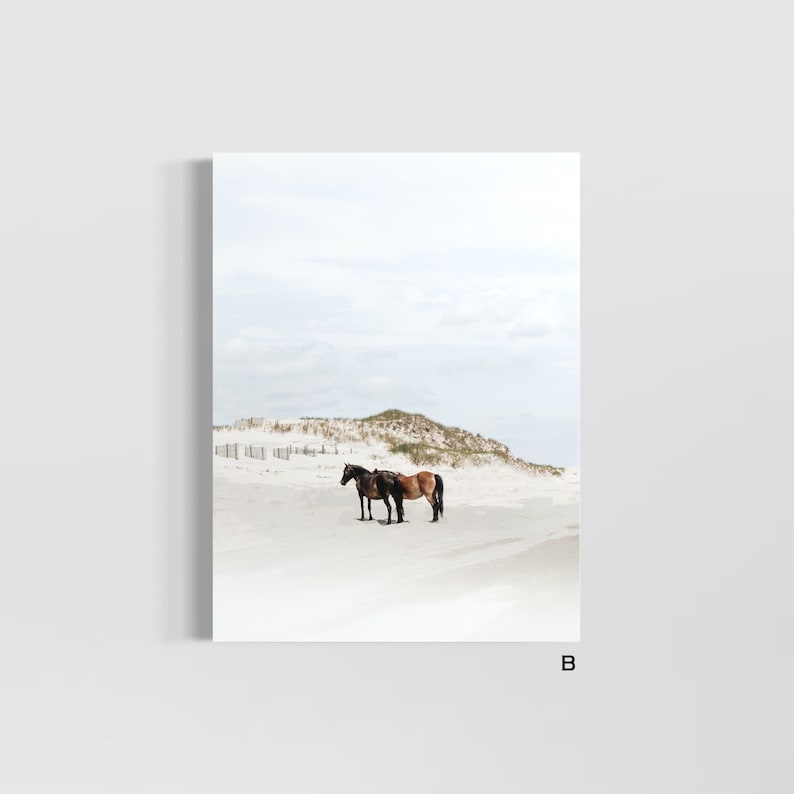 May include: Two brown horses standing side by side on a white sandy beach with a grassy dune in the background.