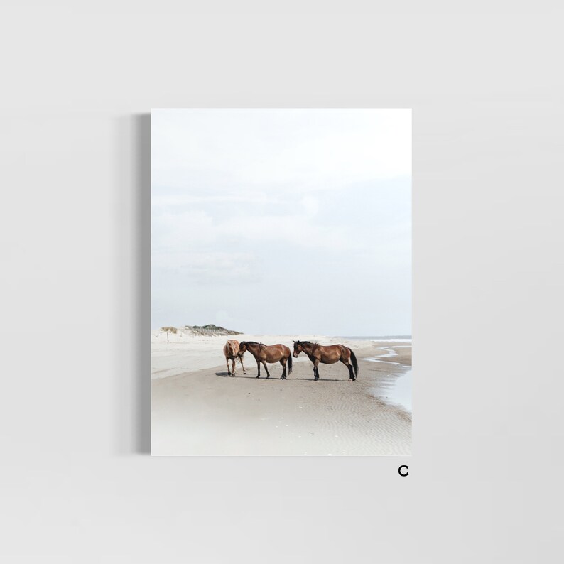 May include: Three brown horses standing on a sandy beach with a cloudy sky in the background.