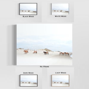 May include: A photograph of a herd of wild horses running along a sandy beach with a blue sky and white clouds in the background.