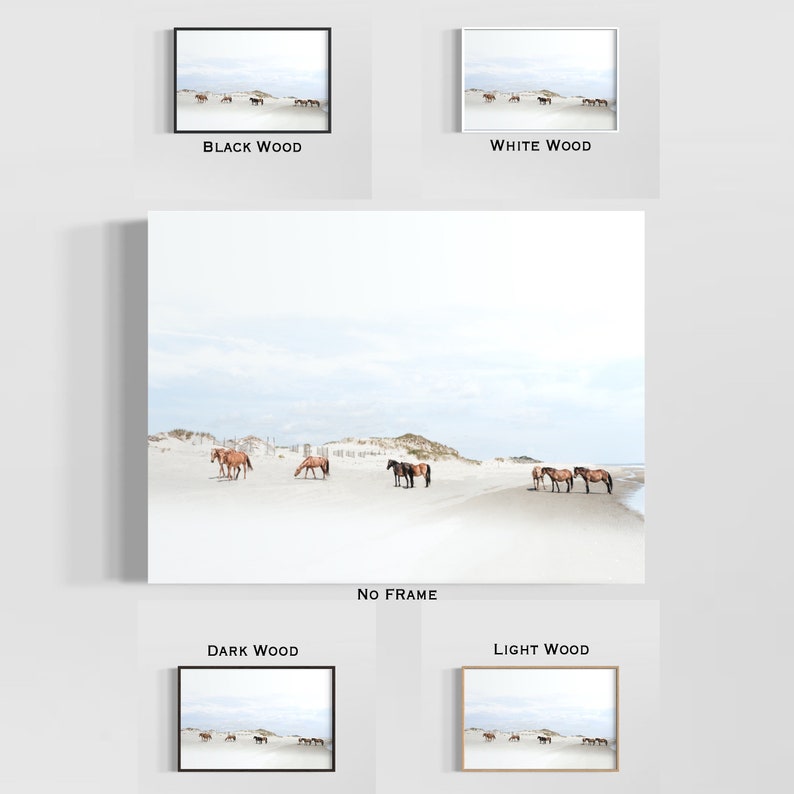 May include: A photograph of a herd of wild horses running along a sandy beach with a blue sky and white clouds in the background.