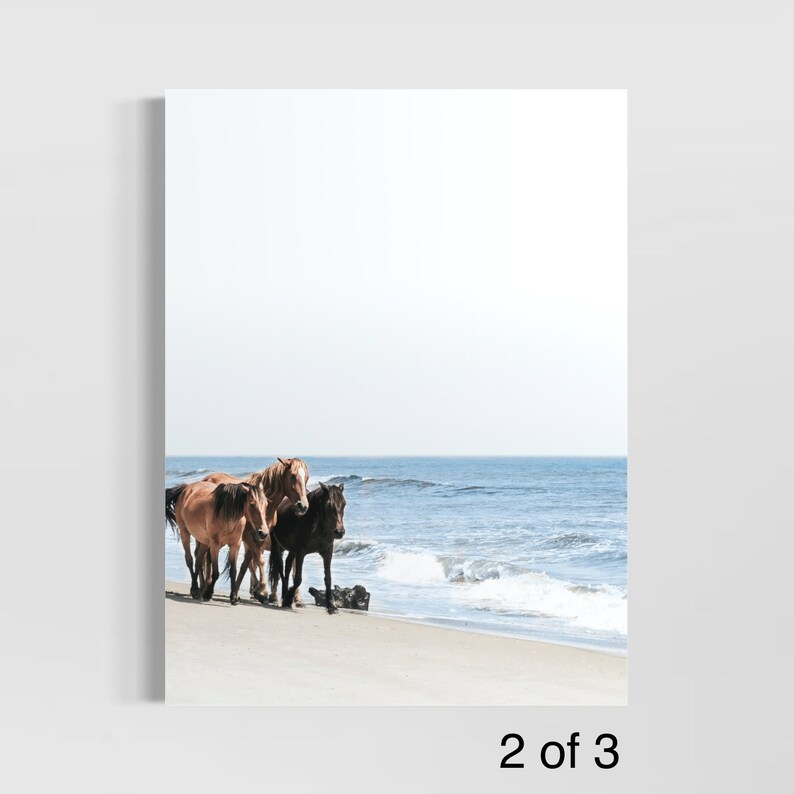 May include: A framed print featuring three horses on a sandy beach with the ocean in the background. The horses are brown and black, and the sky is a pale blue. The print is a landscape scene.