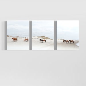 May include: A triptych of three photographs showing brown horses on a white sandy beach. The horses are standing and walking on the beach. The sky is a light blue and the sand is white.