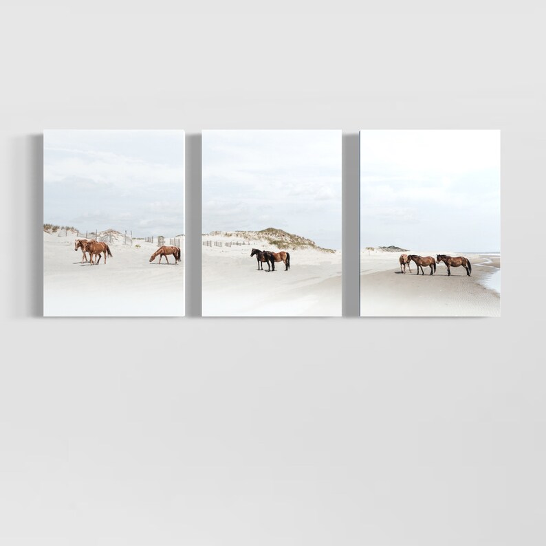 May include: A triptych of three photographs showing brown horses on a white sandy beach. The horses are standing and walking on the beach. The sky is a light blue and the sand is white.