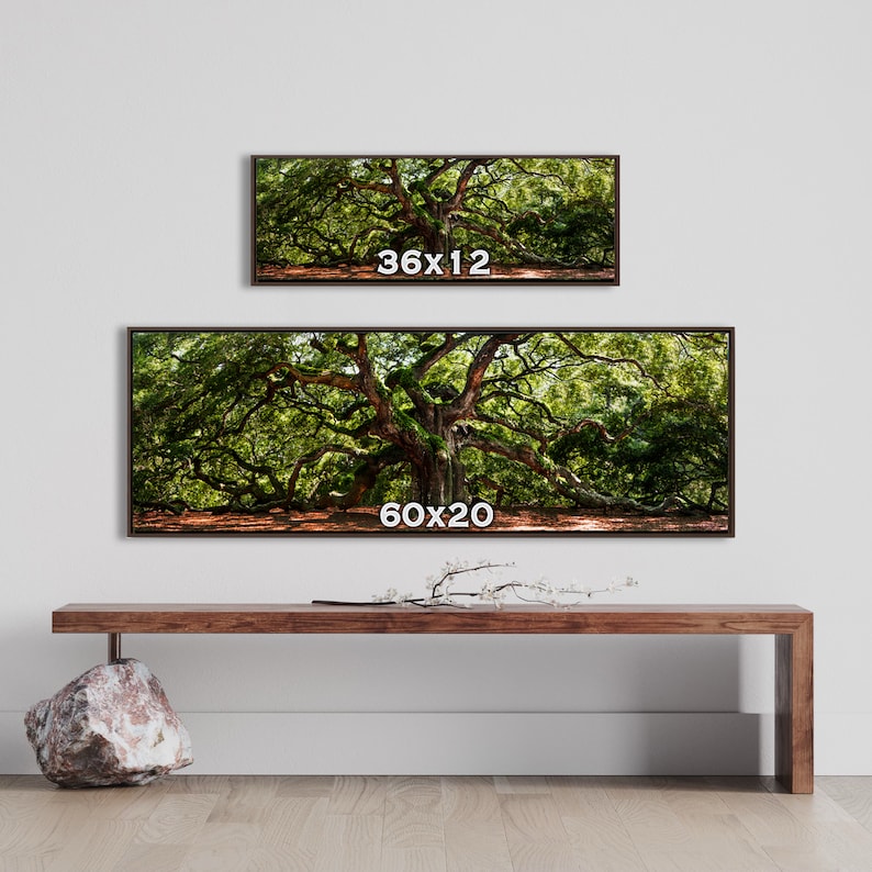 60x20 Angel Oak Tree Floating Framed Panoramic Canvas Photography Art Print ...