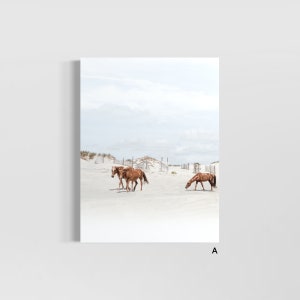 May include: Three brown horses walk on a white sandy beach with a blue sky and white clouds in the background.