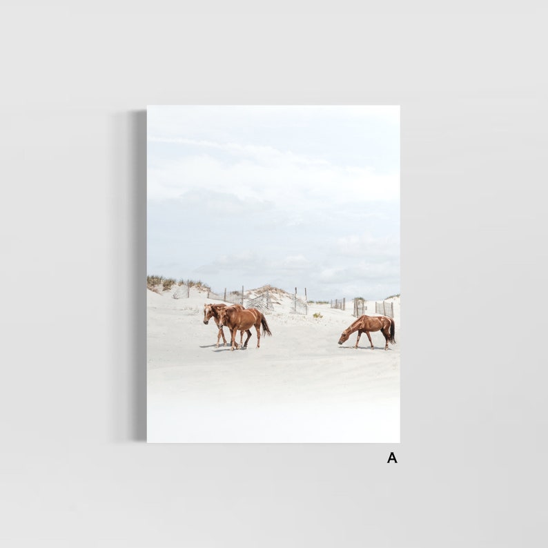 May include: Three brown horses walk on a white sandy beach with a blue sky and white clouds in the background.