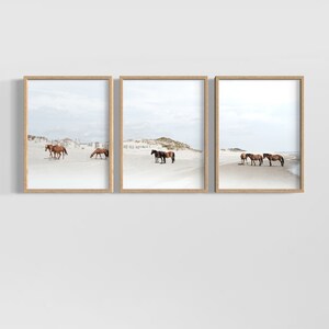 May include: A set of three framed photographs featuring brown horses on a white sandy beach. The horses are standing and walking on the beach, with the ocean in the background.