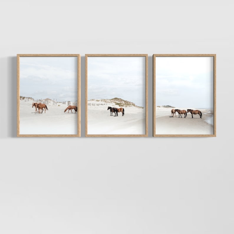 May include: A set of three framed photographs featuring brown horses on a white sandy beach. The horses are standing and walking on the beach, with the ocean in the background.