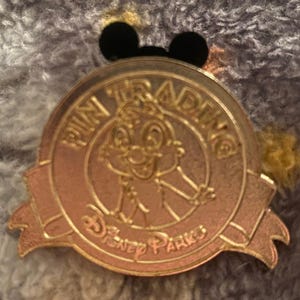 Chip N Dale Character Disney Parks Limited Release Edition Trading Pin 2011