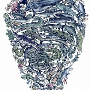 Op de afbeelding: Een gedetailleerde illustratie van diverse zeedieren, waaronder walvissen, haaien, prehistorische reptielen en schaaldieren, gerangschikt in een druppelvorm. Het kunstwerk toont een gevarieerde collectie waterdieren in tinten blauw, groen en grijs.