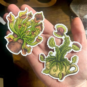 Puede incluir: Dos pegatinas con plantas carnívoras. La primera pegatina muestra una planta de jarra verde con múltiples bocas en una maceta marrón. La segunda pegatina muestra una planta de jarra verde con una sola boca que crece fuera de una taza de té agrietada.
