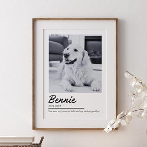 Stampa commemorativa personalizzata per animali domestici, stampa commemorativa per cani, regalo in ricordo di gatti, regalo di cordoglio per la perdita di un animale domestico, stampa della zampa opzionale, regalo di ricordo per animale domestico smarrito