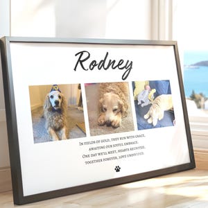May include: A framed print with three photos of a dog named Rodney. The print includes the name "Rodney" in script above the photos and a poem below. The frame is black, and the background is white.