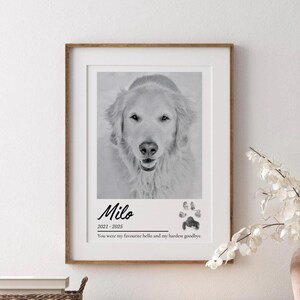 Stampa commemorativa personalizzata per animali domestici, stampa commemorativa per cani, regalo in ricordo di gatti, regalo di cordoglio per la perdita di un animale domestico, stampa della zampa opzionale, regalo di ricordo per animale domestico smarrito