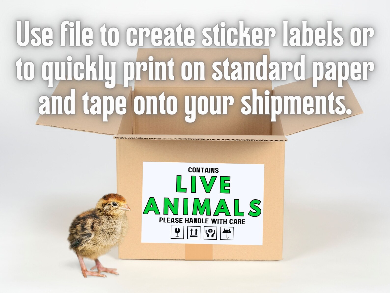 Live Animals Shipping Label – Printable Fragile Box Sticker (PDF & PNG ...