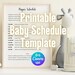 Printable Baby Schedule Template for New Caregivers, Nannies, and ...