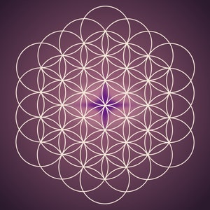Pu&ograve; includere: Un motivo geometrico bianco, noto come Fiore della Vita, &egrave; centrato su uno sfondo viola.