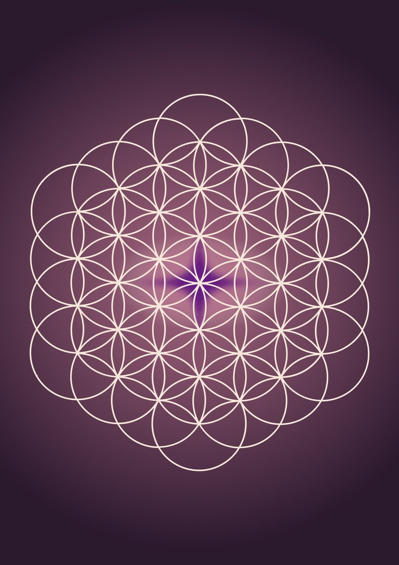 Pu&ograve; includere: Un motivo geometrico bianco, noto come Fiore della Vita, &egrave; centrato su uno sfondo viola.