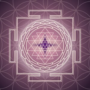 Pu&ograve; includere: Un disegno geometrico bianco con una stella al centro, circondato da un cerchio di stelle pi&ugrave; piccole. Il disegno &egrave; su uno sfondo viola con un motivo a fiore della vita.