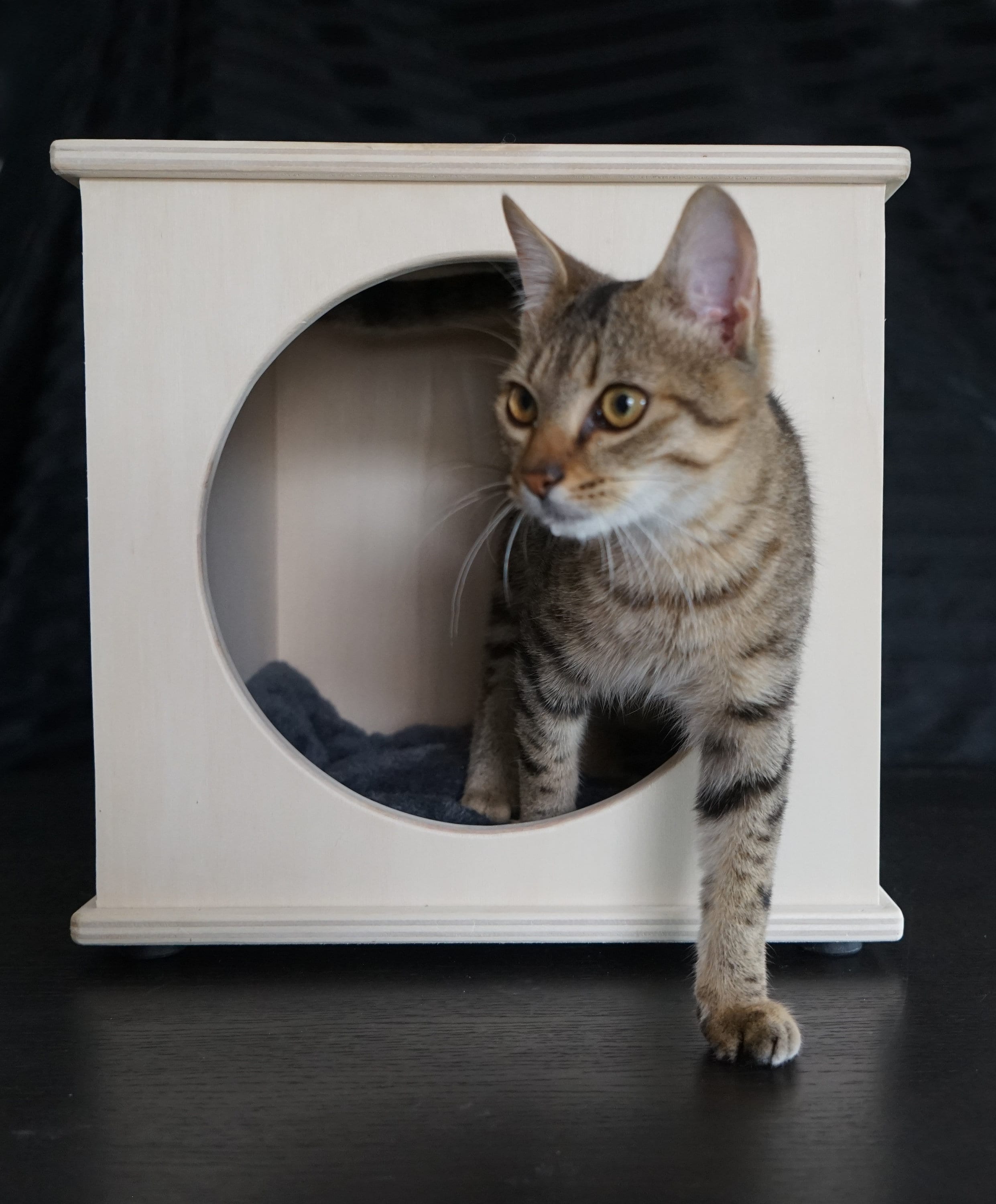 Maison De Chat Élégante, Lit Pour Chat, Maison Chaton D'intérieur, Maison En Bois, Meubles D'animal Familier, Lit Confort