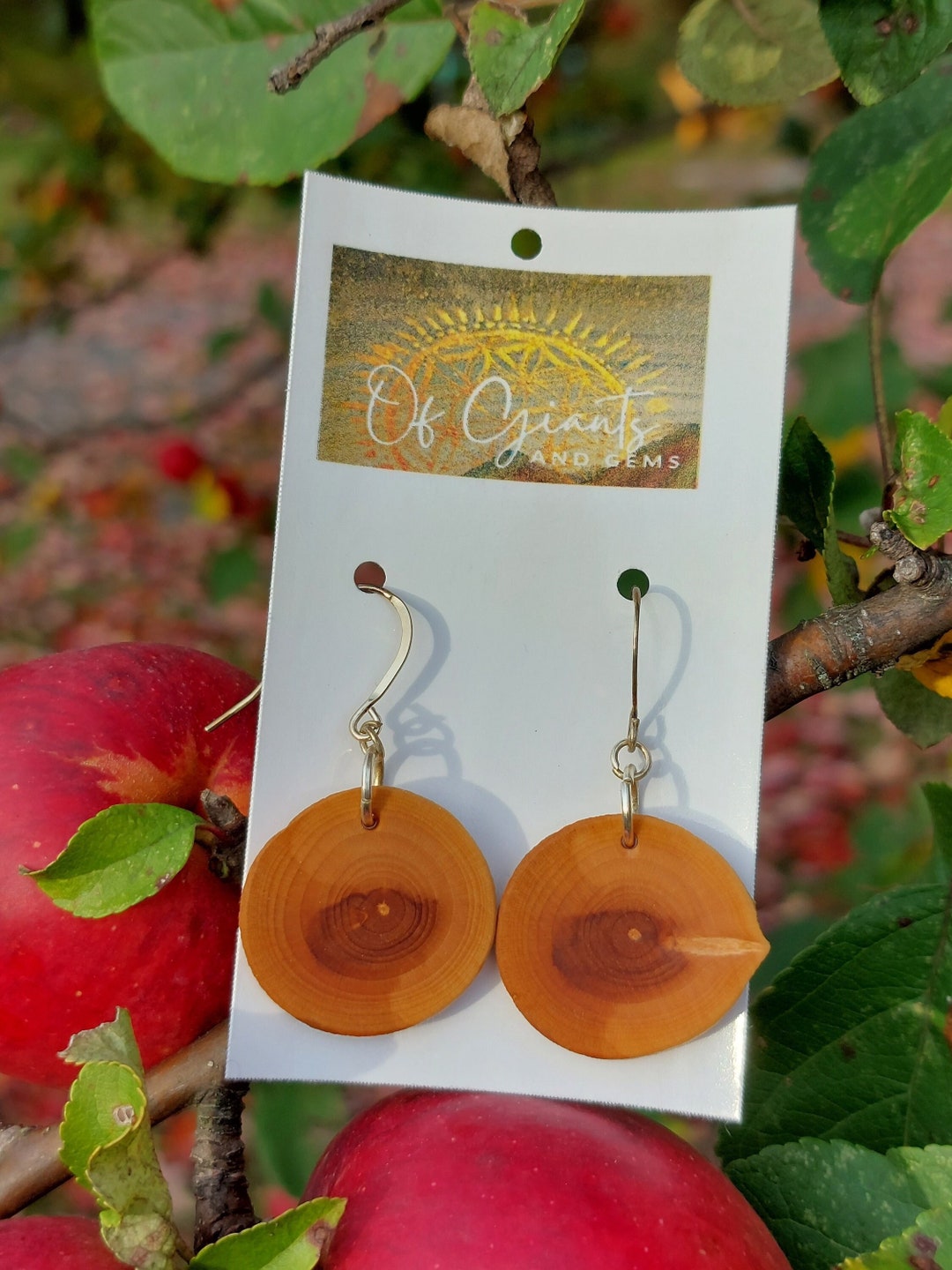 Handmade Applewood Jewelry Wood Earrings Applewood Pendants Real Wood
