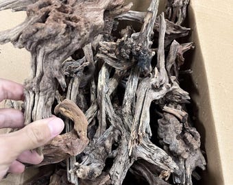 Madera flotante natural pequeña (10-20 cm) para acuarios. Madera dura para acuarios, terrarios y peceras plantadas.