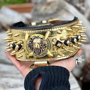 Gold Leather Custom Spiked Dog Collar
