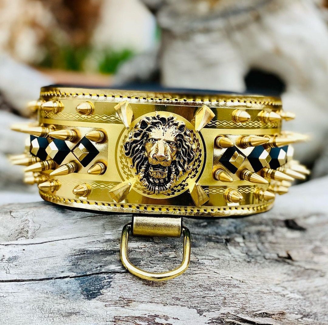Gold Leather Custom Spiked Dog Collar Etsy