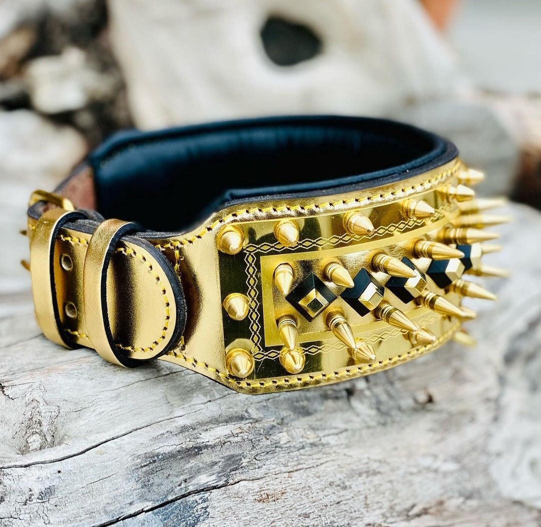Gold Leather Custom Spiked Dog Collar Etsy