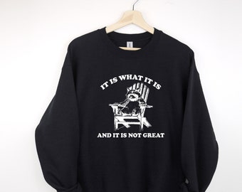 It Is What It Is And It Is Not Great Sweatshirt, Mental Health Sweatshirt, Funny Sweatshirt Women, Meme Sweatshirt, Raccoon Sweat, Gag Tee