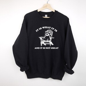 It Is What It Is And It Is Not Great Sweatshirt, Mental Health Sweatshirt, Funny Sweatshirt Women, Meme Sweatshirt, Raccoon Sweat, Gag Tee