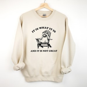 It Is What It Is And It Is Not Great Sweatshirt, Mental Health Sweatshirt, Funny Sweatshirt Women, Meme Sweatshirt, Raccoon Sweat, Gag Tee