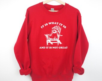 It Is What It Is And It Is Not Great Sweatshirt, Mental Health Sweatshirt, Funny Sweatshirt Women, Meme Sweatshirt, Raccoon Sweat, Gag Tee