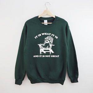 It Is What It Is And It Is Not Great Sweatshirt, Mental Health Sweatshirt, Funny Sweatshirt Women, Meme Sweatshirt, Raccoon Sweat, Gag Tee