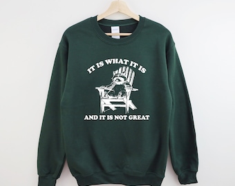 It Is What It Is And It Is Not Great Sweatshirt, Mental Health Sweatshirt, Funny Sweatshirt Women, Meme Sweatshirt, Raccoon Sweat, Gag Tee
