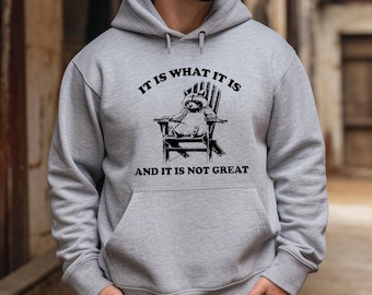 It Is What It Is And It Is Not Great Hoodie, Mental Health Hoodie, Funny Hoodie Women, Meme Hoodie, Raccoon Hoodie, Gag Hoodie