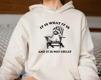 It Is What It Is And It Is Not Great Hoodie, Mental Health Hoodie, Funny Hoodie Women, Meme Hoodie, Raccoon Hoodie, Gag Hoodie