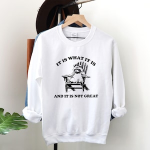 It Is What It Is And It Is Not Great Sweatshirt, Mental Health Sweatshirt, Funny Sweatshirt Women, Meme Sweatshirt, Raccoon Sweat, Gag Tee
