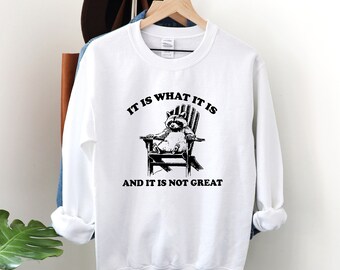 It Is What It Is And It Is Not Great Sweatshirt, Mental Health Sweatshirt, Funny Sweatshirt Women, Meme Sweatshirt, Raccoon Sweat, Gag Tee