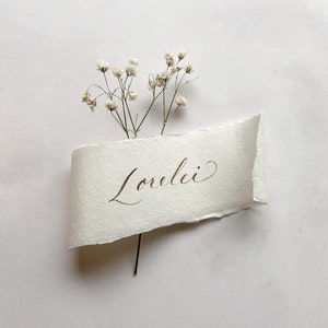 May include: A white piece of paper with the word "Lorelei" written in brown ink in cursive. The paper is torn on the edges and has a small sprig of white baby's breath flowers on top.